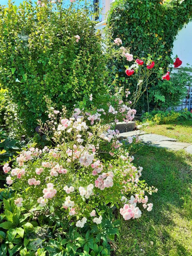 Hotel/Pension Rosengarten Franking Екстериор снимка